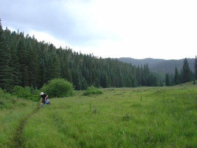 Horsethief Meadow